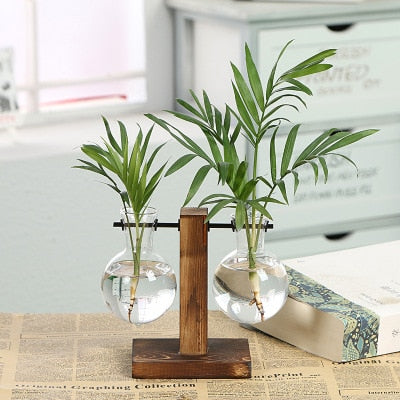 Glass Terrarium Planter with Wooden Stand