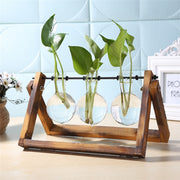 Glass and Wood Propagation Vase Planter