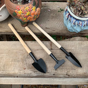 Three-piece DIY Gardening Tool Set
