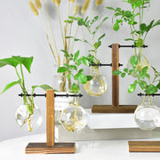Glass Terrarium Planter with Wooden Stand